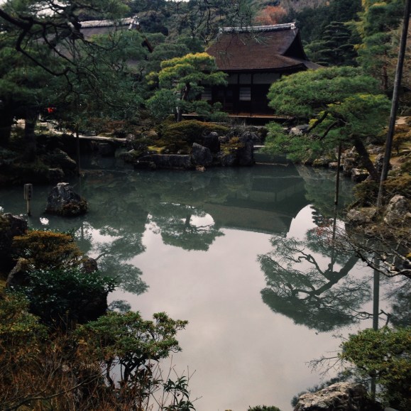 Processed with VSCOcam with g3 preset