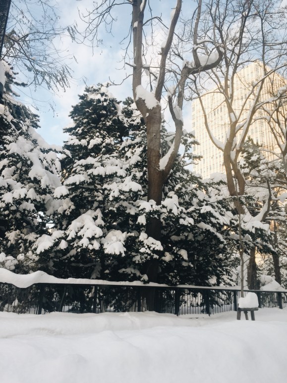 Processed with VSCO with a6 preset